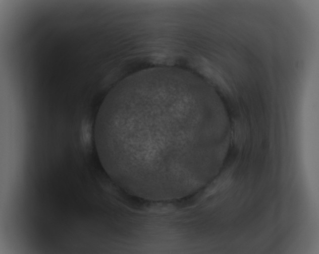 X0000101111154200807101503