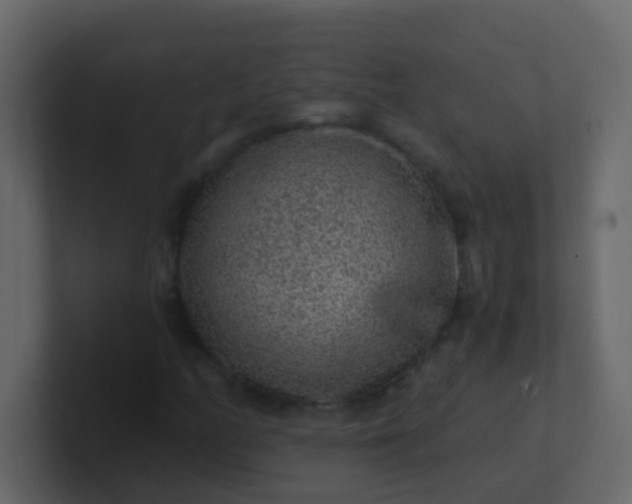 X0000101111158200807101503