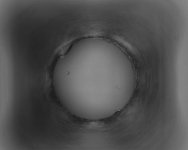 X0000101111160200807101503