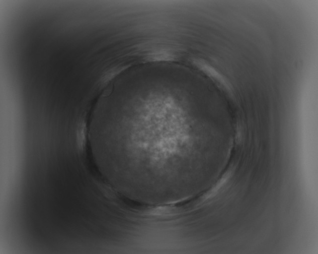X0000101111161200807101503
