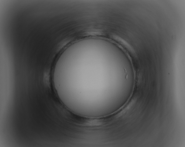 X0000101111162200807101503