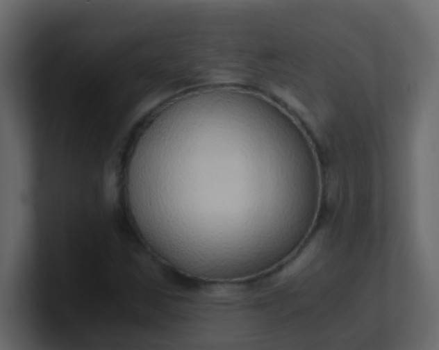 X0000101111163200807101503