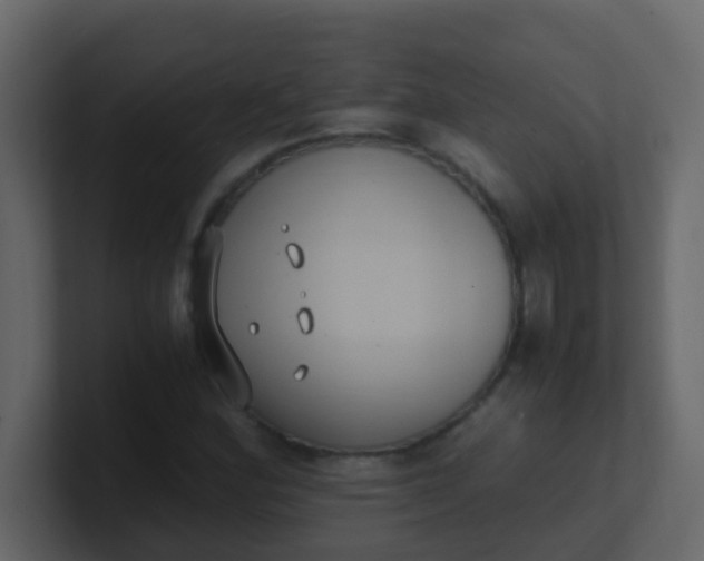 X0000101111164200807101502