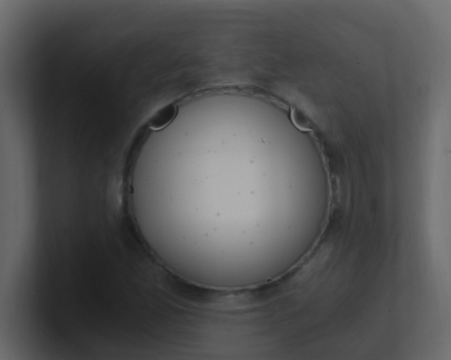 X0000101111165200807101502