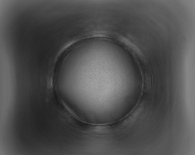 X0000101111166200807101502