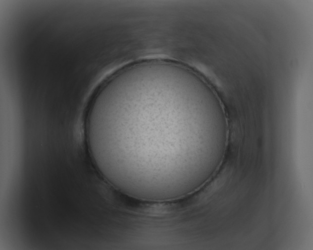 X0000101111167200807101502
