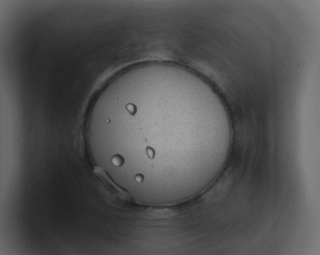 X0000101111168200807101502