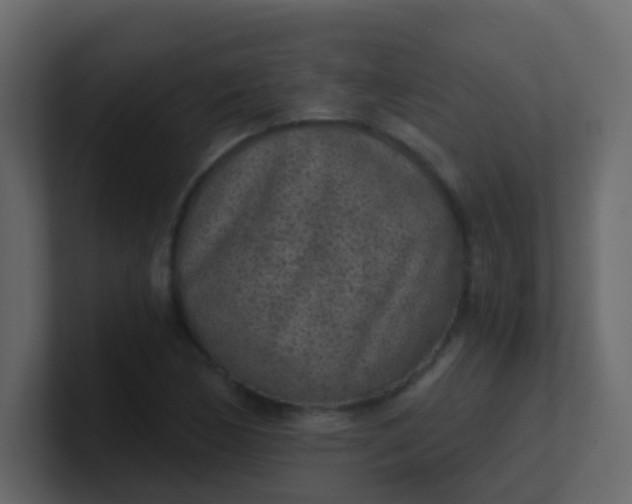 X0000101111170200807101502