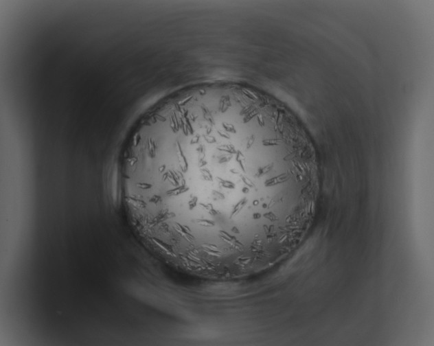 X0000101111171200807101502
