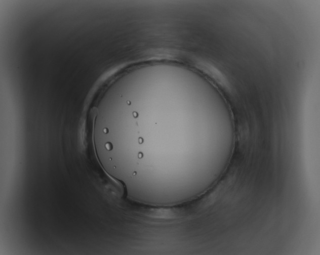 X0000101111172200807101502