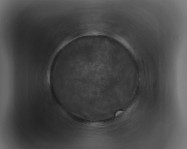 X0000101111173200807101502