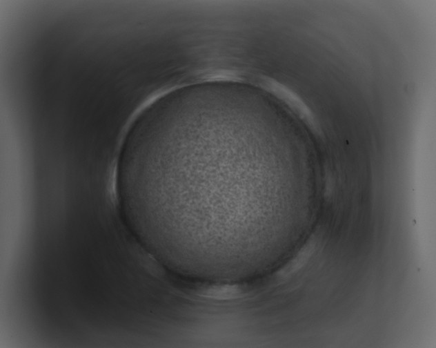 X0000101111174200807101502