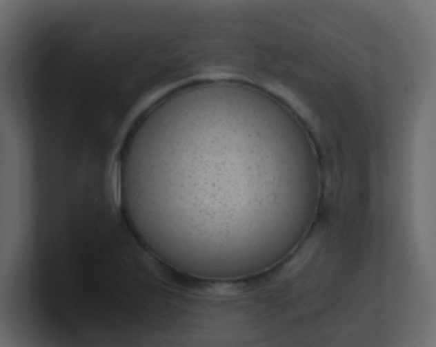 X0000101111175200807101502