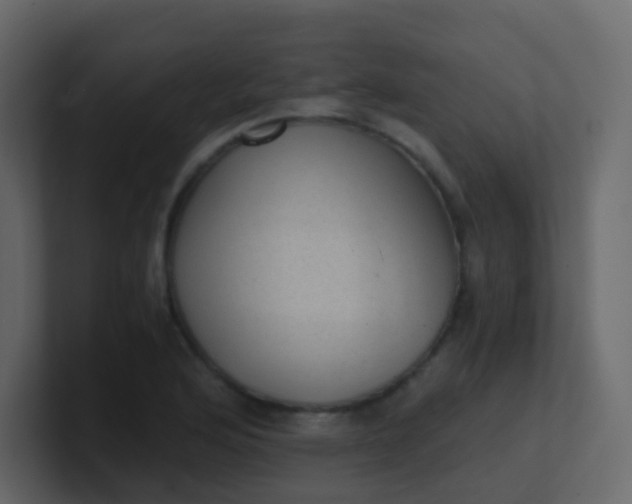 X0000101111176200807101502