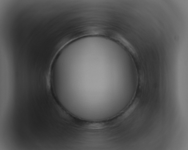 X0000101111178200807101502
