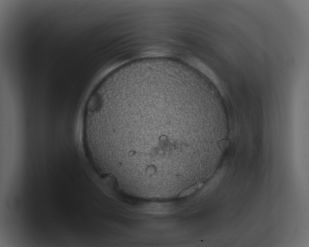 X0000101111179200807101502