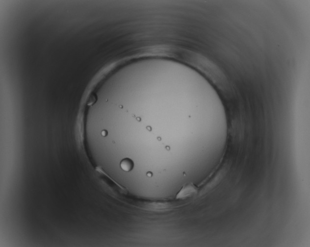 X0000101111180200807101502
