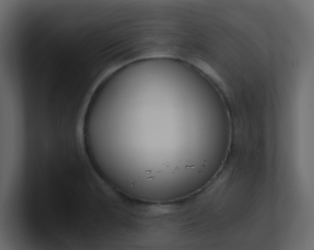 X0000101111181200807101502