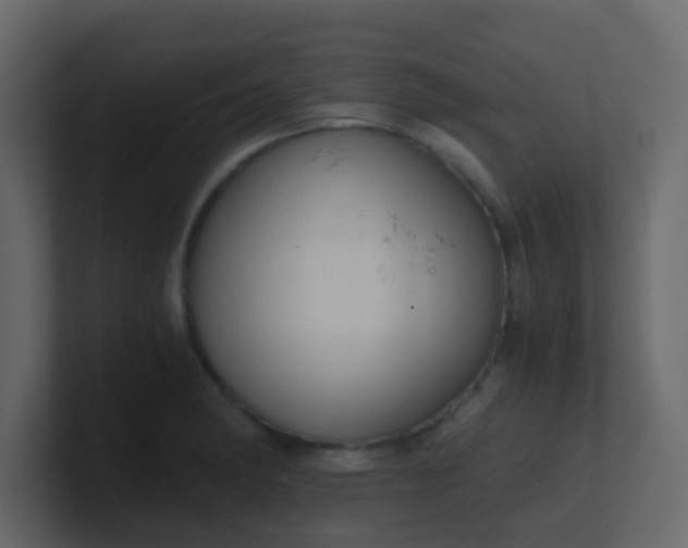 X0000101111182200807101502