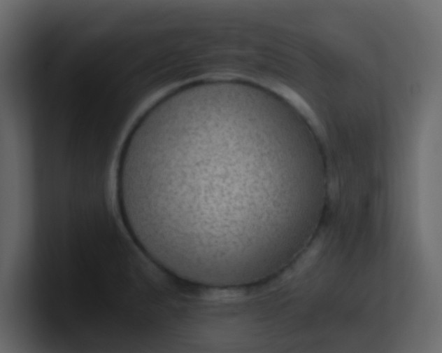 X0000101111183200807101502