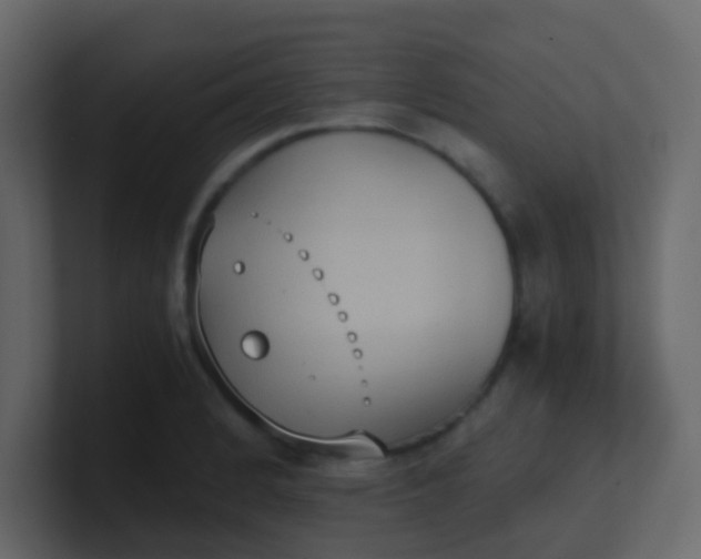 X0000101111184200807101502