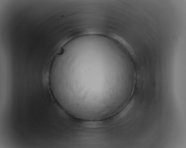 X0000101111185200807101502