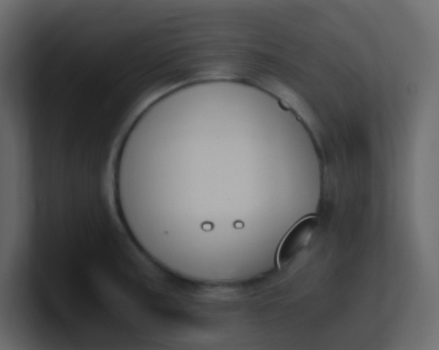 X0000101111187200807101502