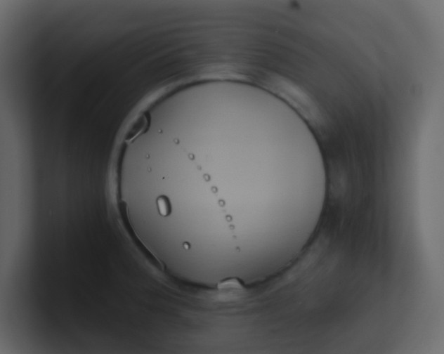 X0000101111188200807101502