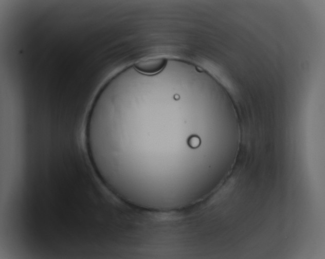 X0000101111189200807101502