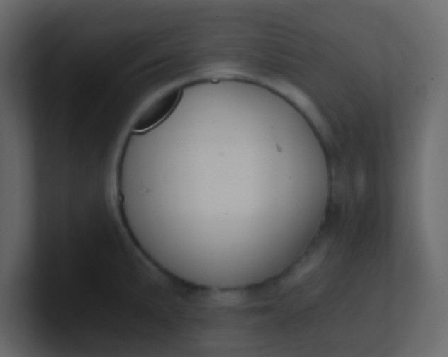 X0000101111191200807101502