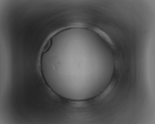 X0000101111192200807101502