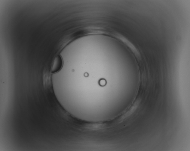 X0000101111193200807101502