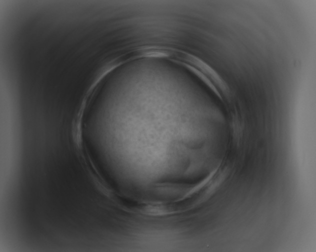 X0000101111194200807101502