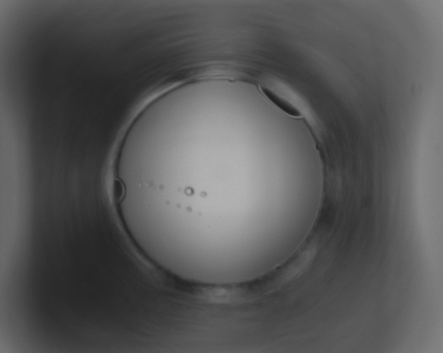 X0000101111195200807101502