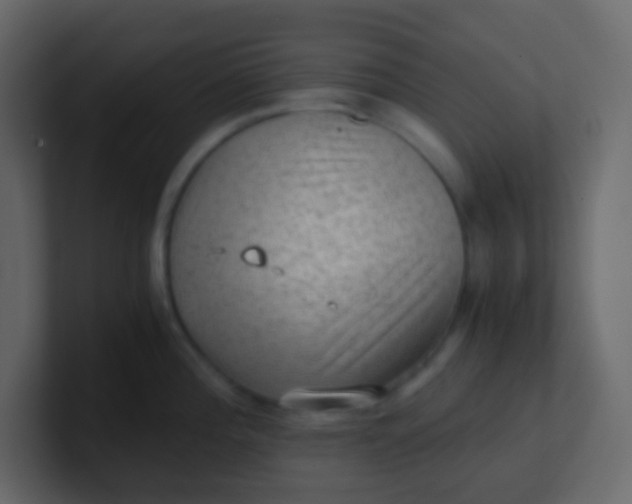 X0000101111196200807101502