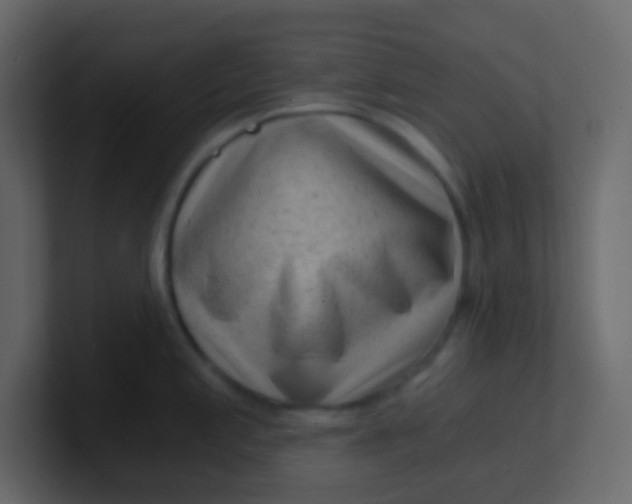 X0000101111197200807101502