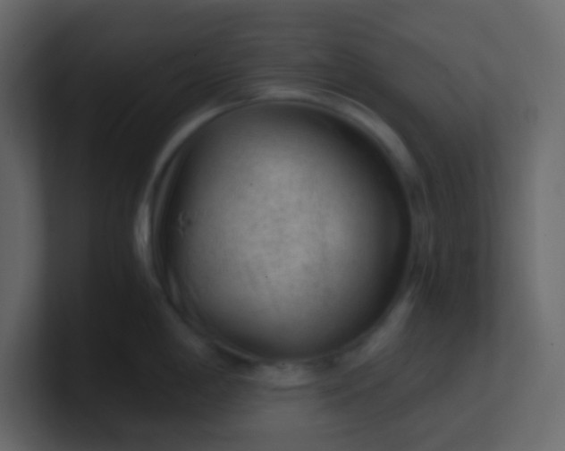 X0000101111198200807101502