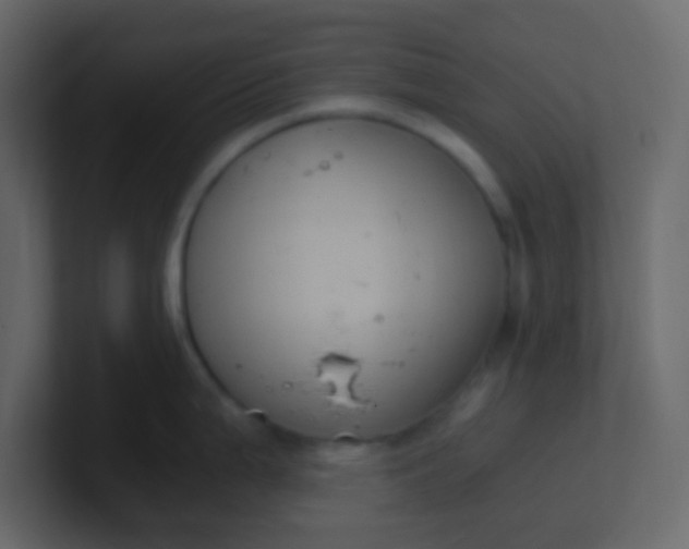 X0000101111199200807101502
