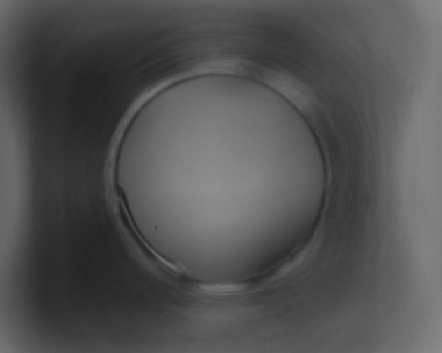 X0000101111200200807101502