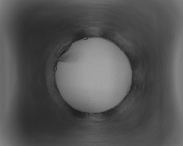 X0000101111201200807101501