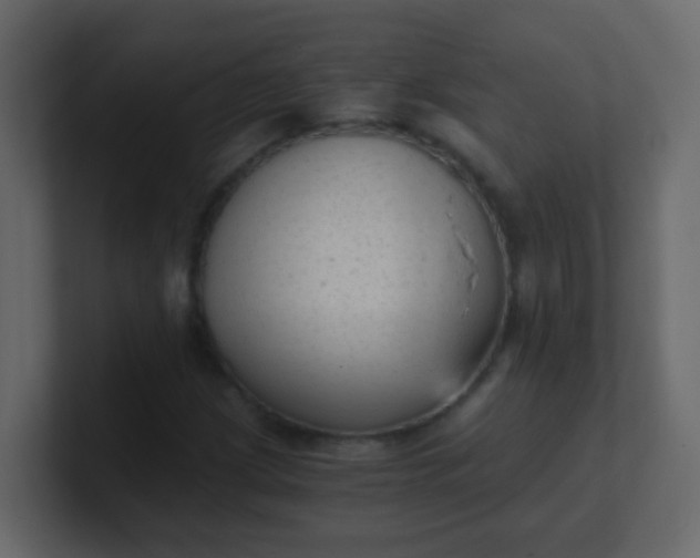 X0000101111209200807101501