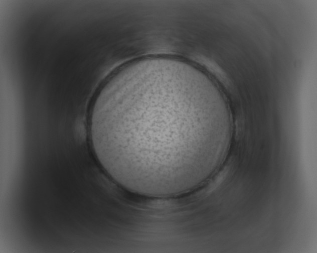 X0000101111212200807101501