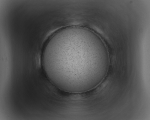 X0000101111214200807101502