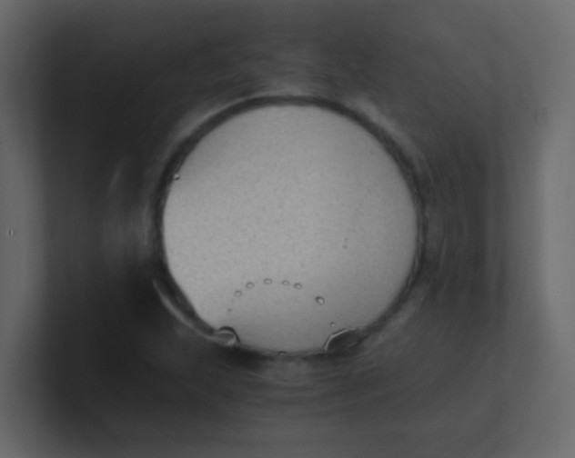 X0000101111215200807101502