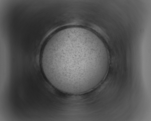 X0000101111216200807101502