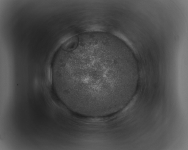 X0000101111219200807101502