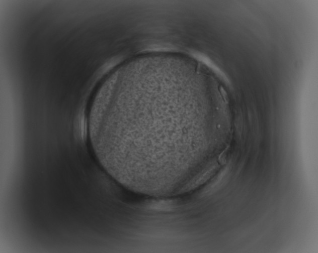 X0000101111221200807101502