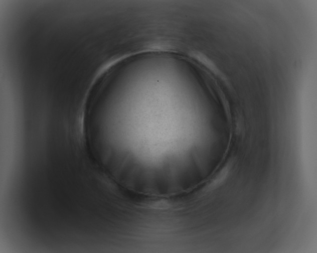 X0000101111222200807101502