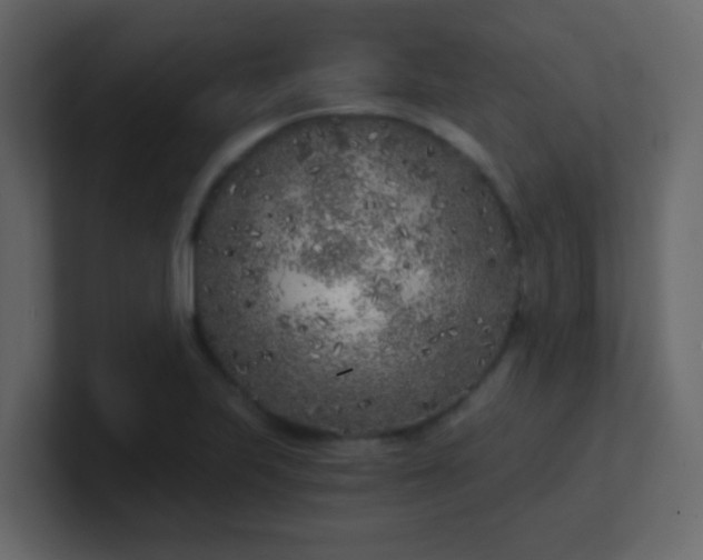 X0000101111223200807101502