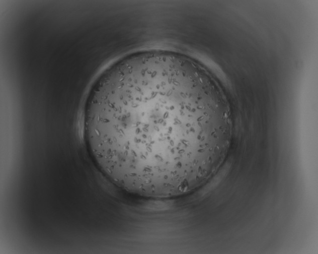 X0000101111224200807101502